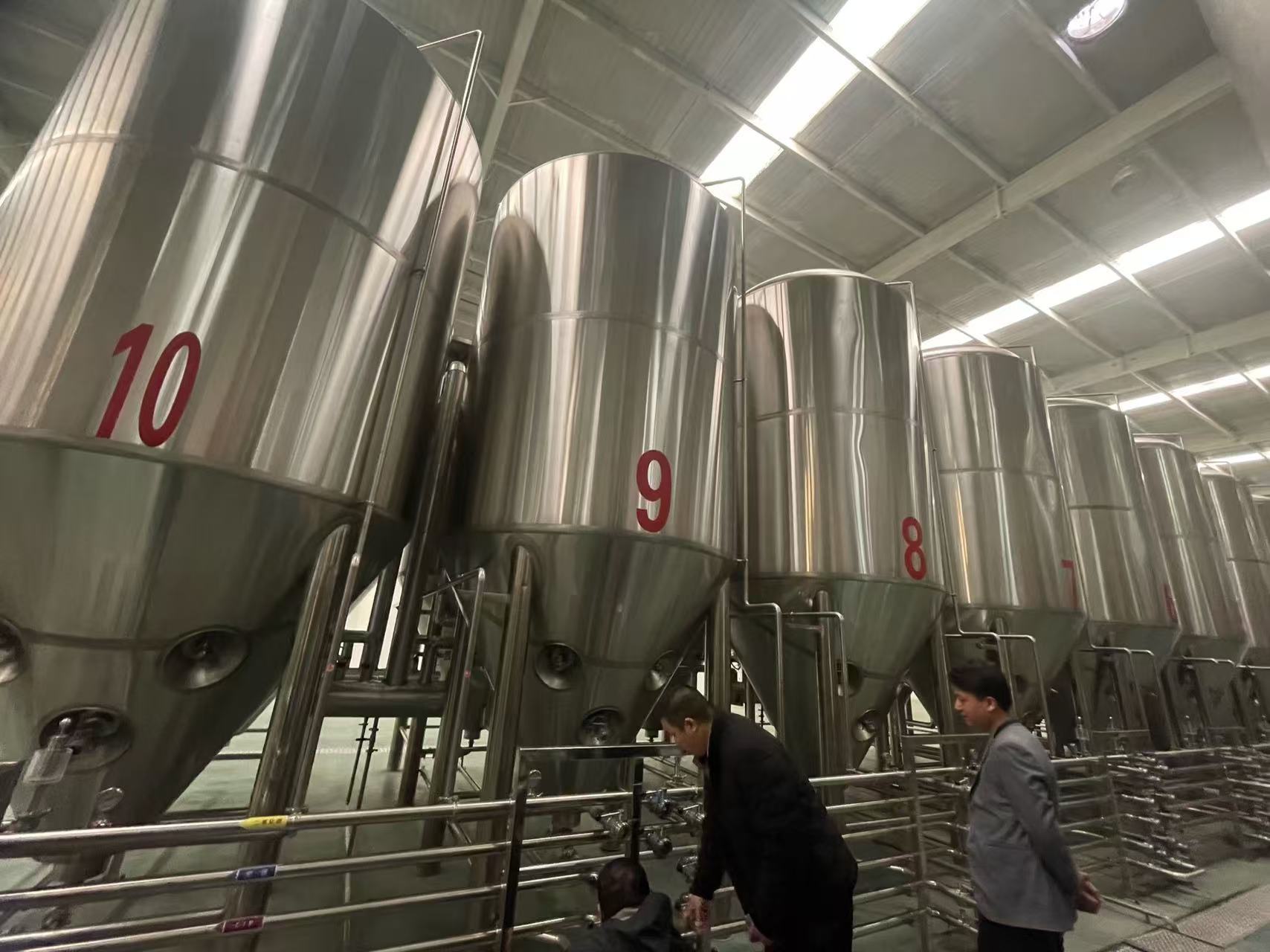 漾濞精酿啤酒设备厂—平面布置、设备设计、制造、调试、培训等一条龙服务